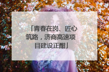 青春在岗、匠心筑路，济商高速项目建设正酣