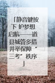 静音键按下 护梦想启航——道县城管多措并举保障“三考”秩序