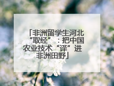 非洲留学生河北“取经”：把中国农业技术“译”进非洲田野