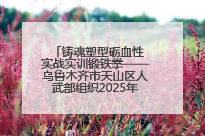铸魂塑型砺血性 实战实训锻铁拳——乌鲁木齐市天山区人武部组织2025年度民兵集中轮训
