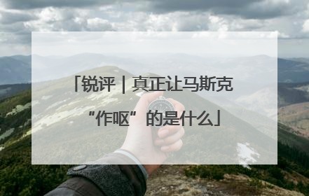 锐评｜真正让马斯克“作呕”的是什么