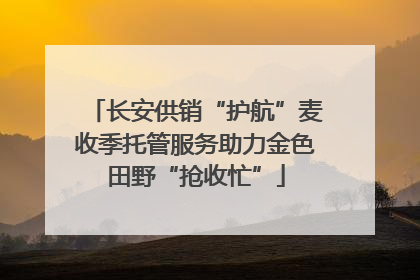 长安供销“护航”麦收季托管服务助力金色田野“抢收忙”
