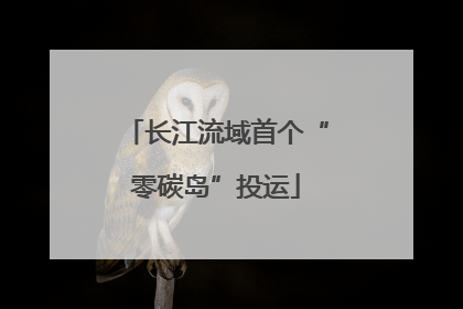 长江流域首个“零碳岛”投运