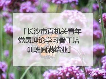 长沙市直机关青年党员理论学习骨干培训班圆满结业