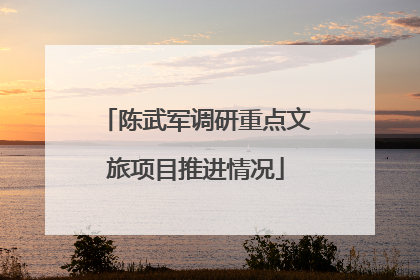 陈武军调研重点文旅项目推进情况
