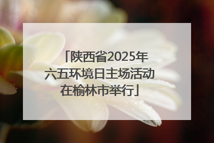 陕西省2025年六五环境日主场活动在榆林市举行