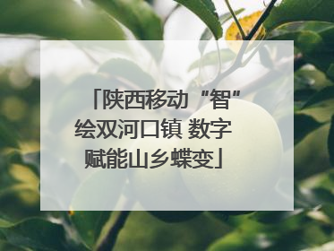 陕西移动“智”绘双河口镇 数字赋能山乡蝶变
