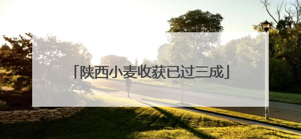 陕西小麦收获已过三成