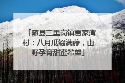 随县三里岗镇贾家湾村：八月瓜缀满藤，山野孕育甜蜜希望