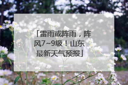 雷雨或阵雨，阵风7~9级！山东最新天气预报