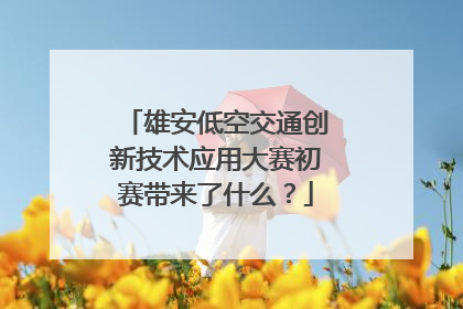 雄安低空交通创新技术应用大赛初赛带来了什么？