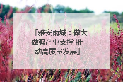 雅安雨城：做大做强产业支撑 推动高质量发展