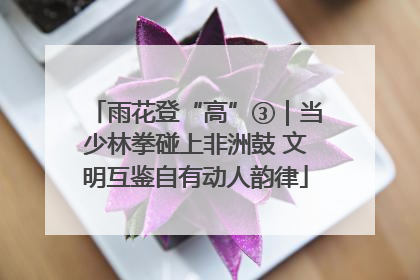 雨花登“高”③｜当少林拳碰上非洲鼓 文明互鉴自有动人韵律