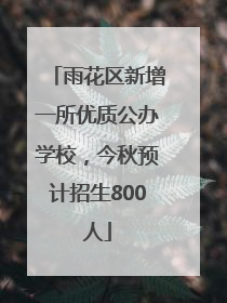 雨花区新增一所优质公办学校，今秋预计招生800人
