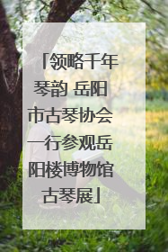 领略千年琴韵 岳阳市古琴协会一行参观岳阳楼博物馆古琴展