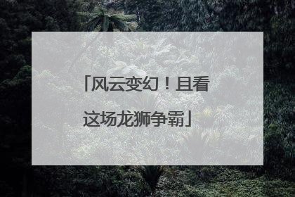 风云变幻！且看这场龙狮争霸