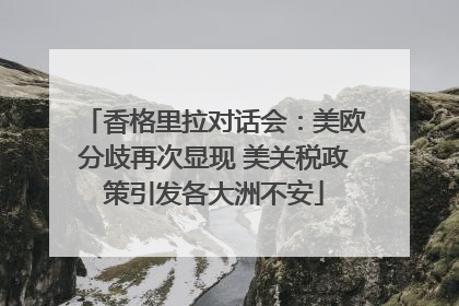 香格里拉对话会：美欧分歧再次显现 美关税政策引发各大洲不安