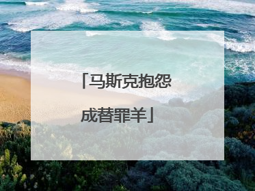 马斯克抱怨成替罪羊