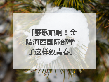 骊歌唱响！金陵河西国际部学子这样致青春