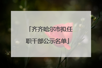 齐齐哈尔市拟任职干部公示名单