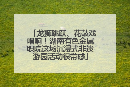 龙狮跳跃、花鼓戏唱响！湖南有色金属职院这场沉浸式非遗游园活动很带感