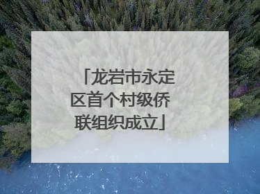 龙岩市永定区首个村级侨联组织成立