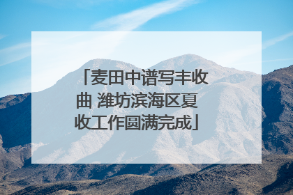 麦田中谱写丰收曲 潍坊滨海区夏收工作圆满完成