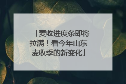 麦收进度条即将拉满！看今年山东麦收季的新变化