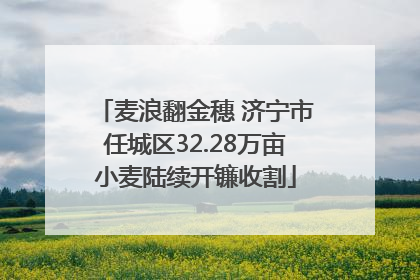 麦浪翻金穗 济宁市任城区32.28万亩小麦陆续开镰收割