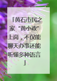 黄石市民之家“黄小政”上岗，不仅能聊天办事还能听懂多种语言