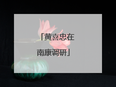 黄喜忠在南康调研