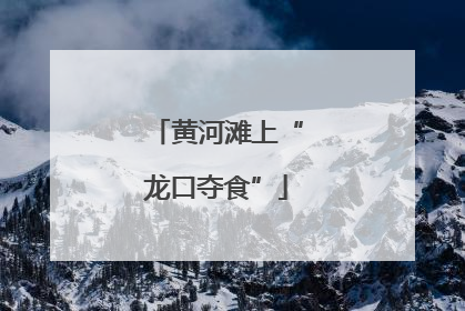 黄河滩上“龙口夺食”