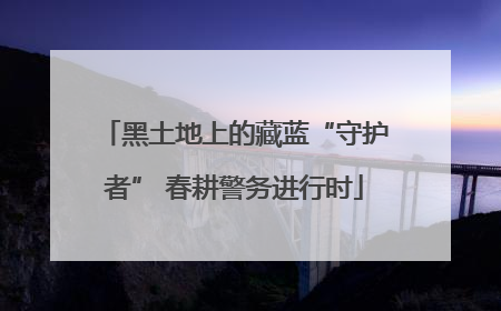 黑土地上的藏蓝“守护者” 春耕警务进行时
