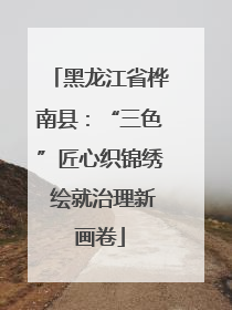 黑龙江省桦南县：“三色”匠心织锦绣 绘就治理新画卷