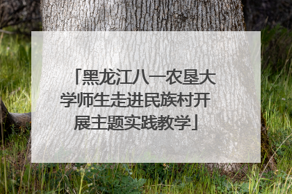黑龙江八一农垦大学师生走进民族村开展主题实践教学