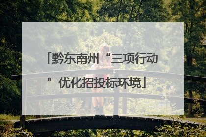 黔东南州“三项行动”优化招投标环境