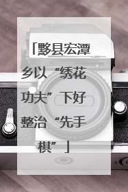 黟县宏潭乡以“绣花功夫”下好整治“先手棋”