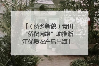 （侨乡新貌）青田“侨贸网络”助推浙江优质农产品出海