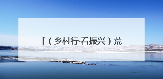 （乡村行·看振兴）荒沟变花海：内蒙古闲置地育出“花漾经济”