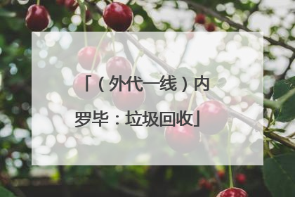 （外代一线）内罗毕：垃圾回收