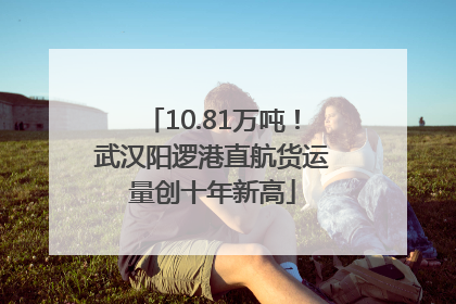 10.81万吨！武汉阳逻港直航货运量创十年新高