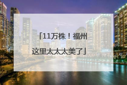 11万株！福州这里太太太美了