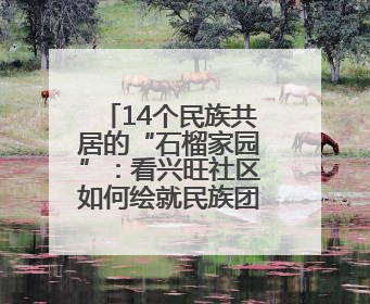 14个民族共居的“石榴家园”：看兴旺社区如何绘就民族团结幸福长卷