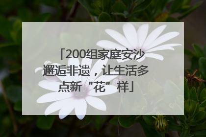 200组家庭安沙邂逅非遗，让生活多点新“花”样