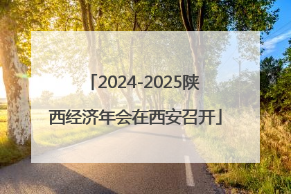 2024-2025陕西经济年会在西安召开