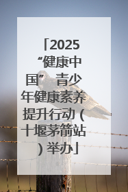 2025 “健康中国” 青少年健康素养提升行动（十堰茅箭站）举办