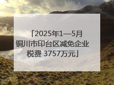 2025年1—5月铜川市印台区减免企业税费 3757万元