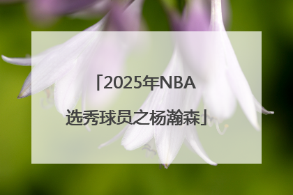 2025年NBA选秀球员之杨瀚森