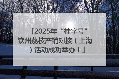 2025年“桂字号”钦州荔枝产销对接（上海）活动成功举办！