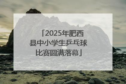 2025年肥西县中小学生乒乓球比赛圆满落幕